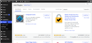 LiteSpeed Cache plugin WordPress — how to speed up a small business website